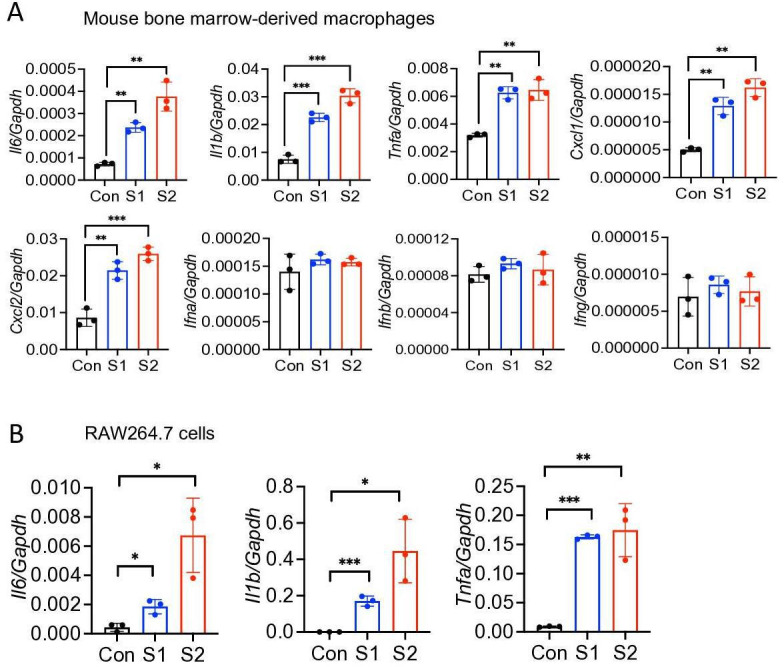 Figure 1—figure supplement 2.