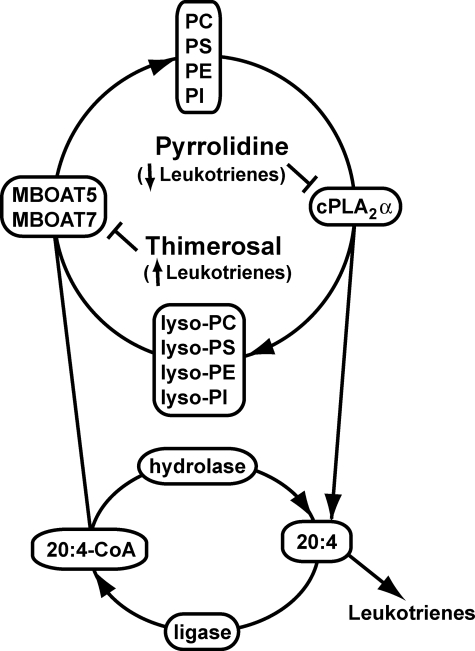 FIGURE 9.