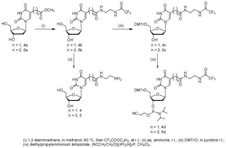 Scheme 2