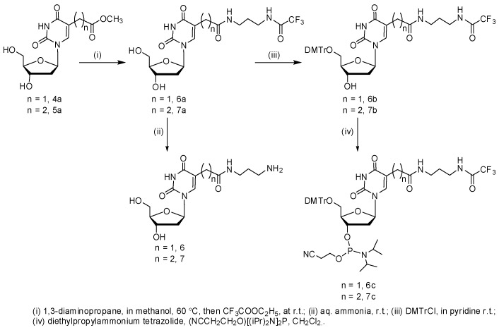 Scheme 3