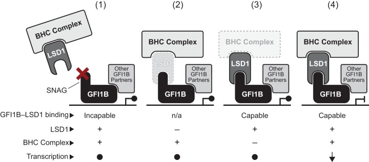 FIG 11