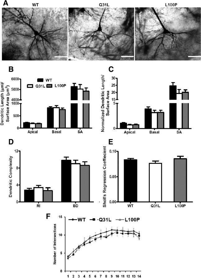 Figure 6.