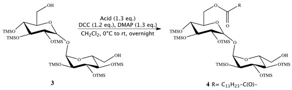 graphic file with name pharmaceutics-12-00143-i003.jpg