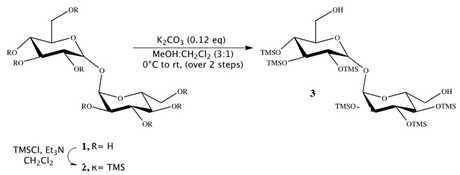 graphic file with name pharmaceutics-12-00143-i002.jpg