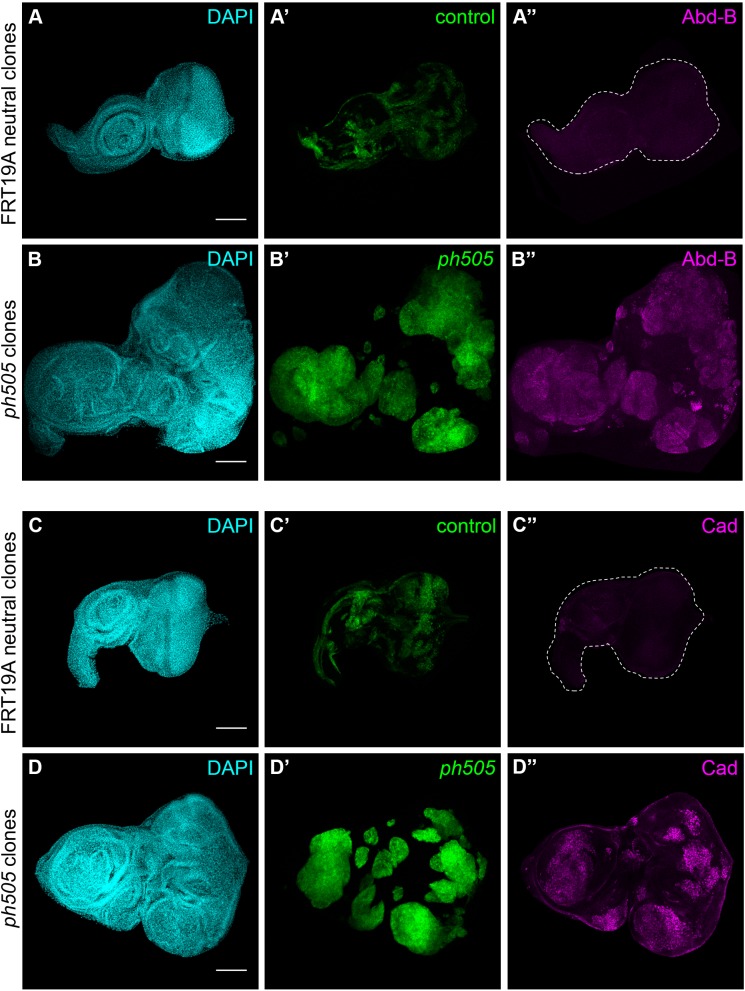 Figure 1—figure supplement 4.