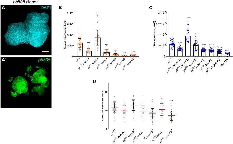 Figure 2—figure supplement 1.