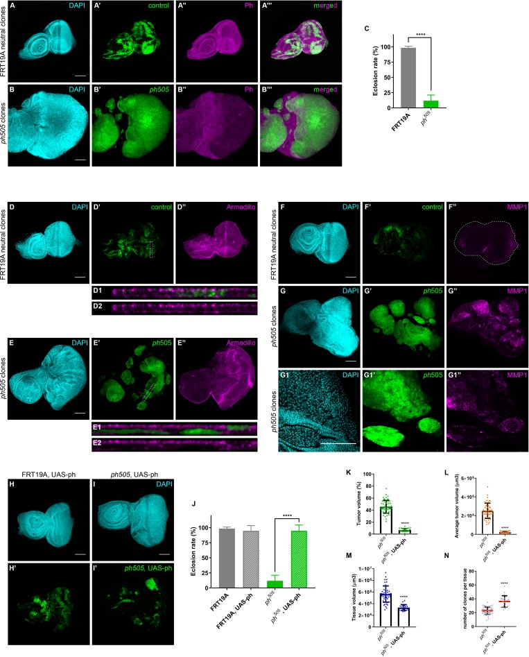 Figure 1—figure supplement 1.