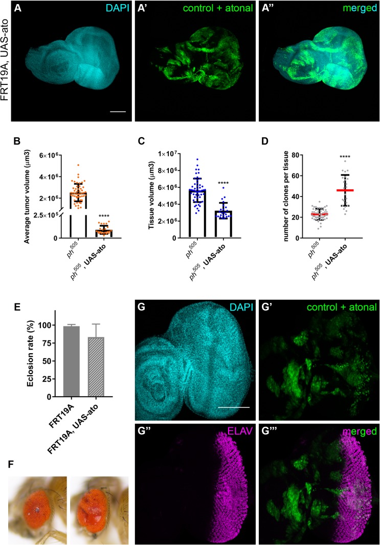 Figure 6—figure supplement 1.