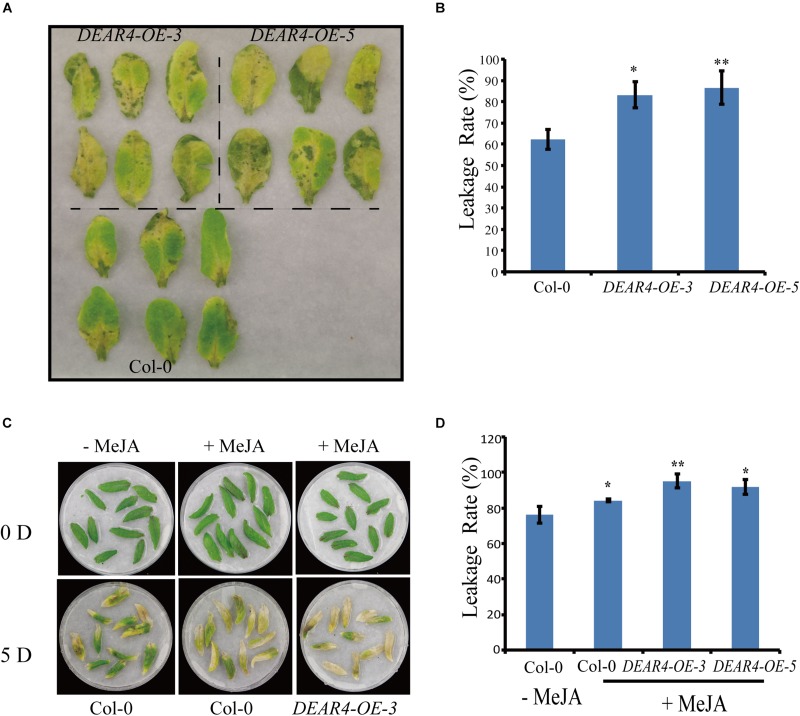 FIGURE 4