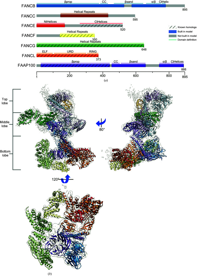 Figure 2