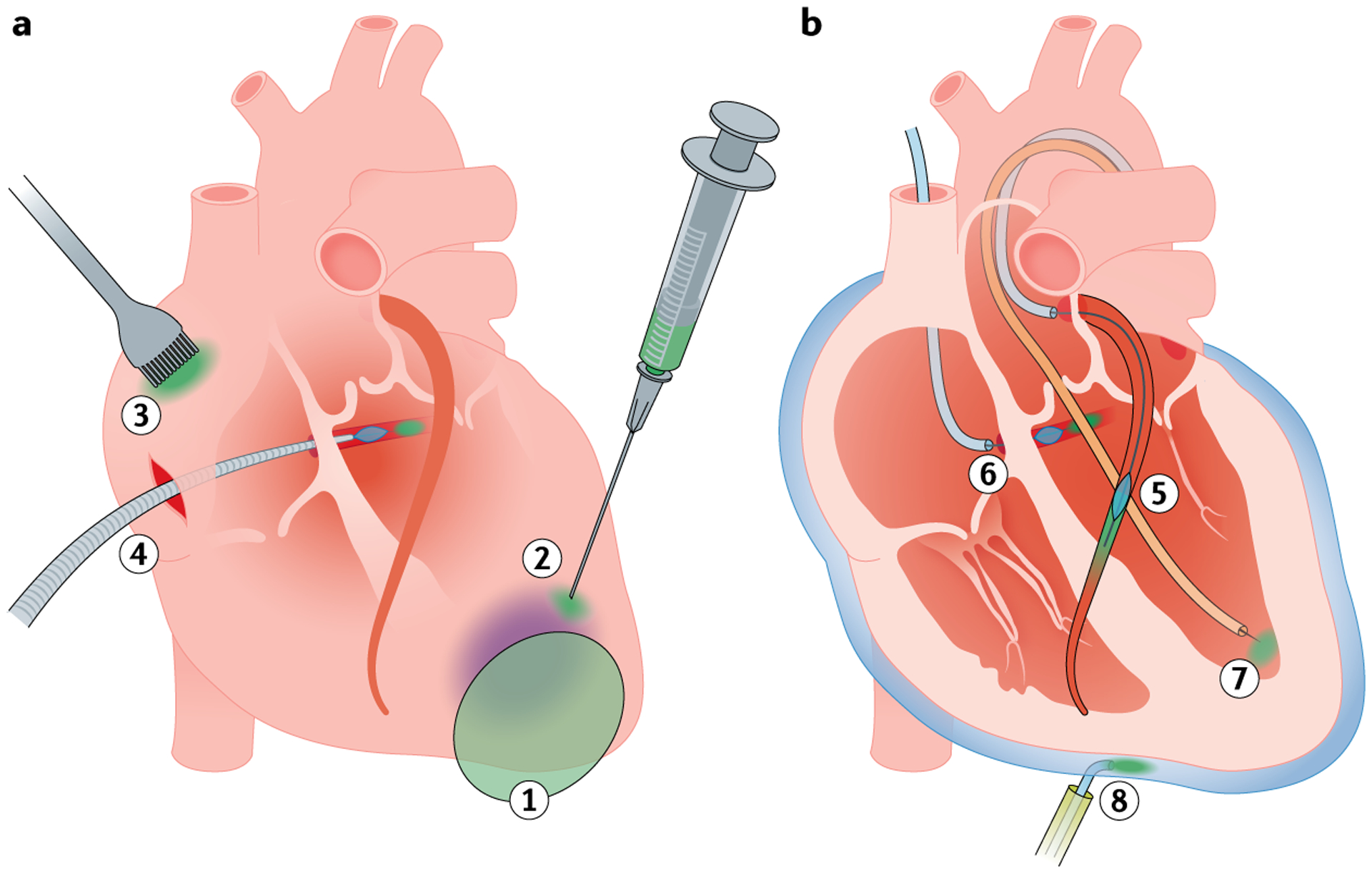 Fig. 2 |