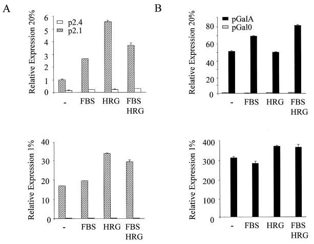 FIG. 3