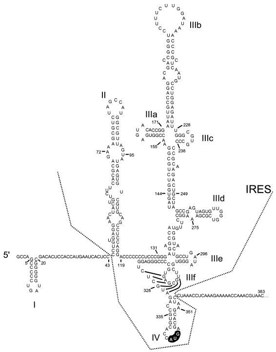 FIG. 6