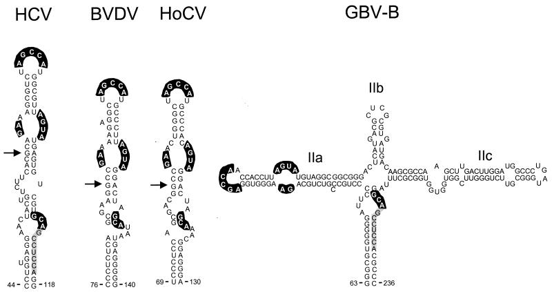 FIG. 7