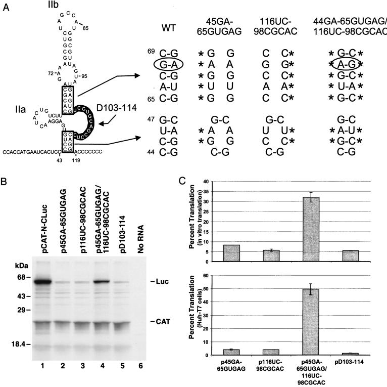 FIG. 4