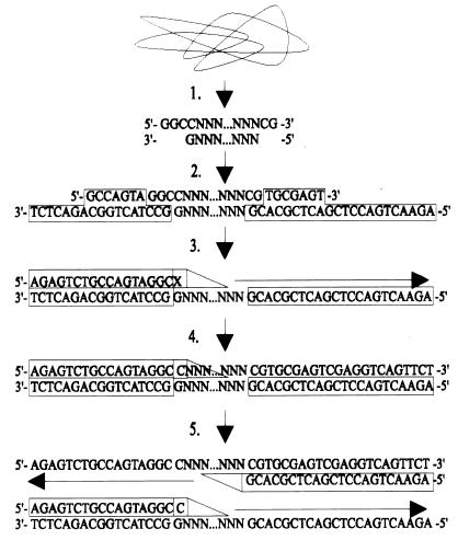 FIG. 1