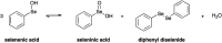 Scheme 5