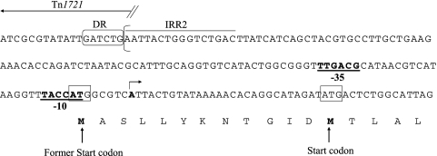 FIG. 2.