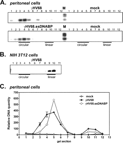 FIG. 1.