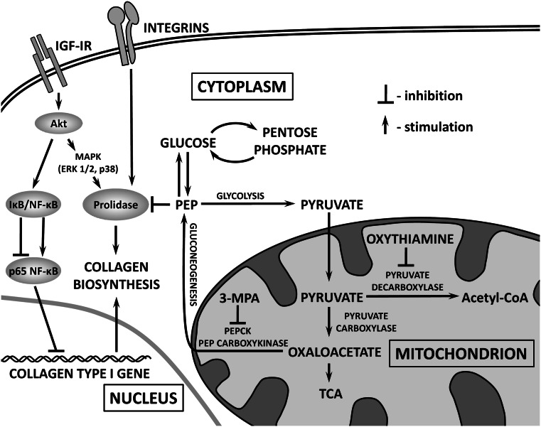 Fig. 5