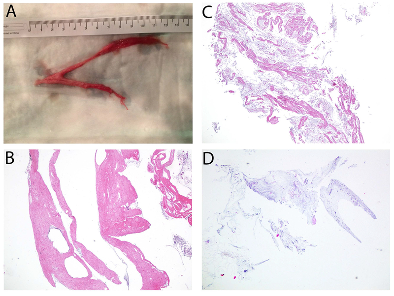 Figure 2: