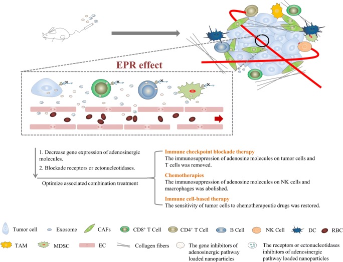 Graphical Abstract