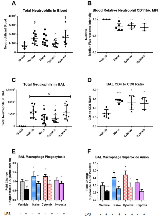 graphic file with name 11845_2021_2845_Figm_HTML.jpg