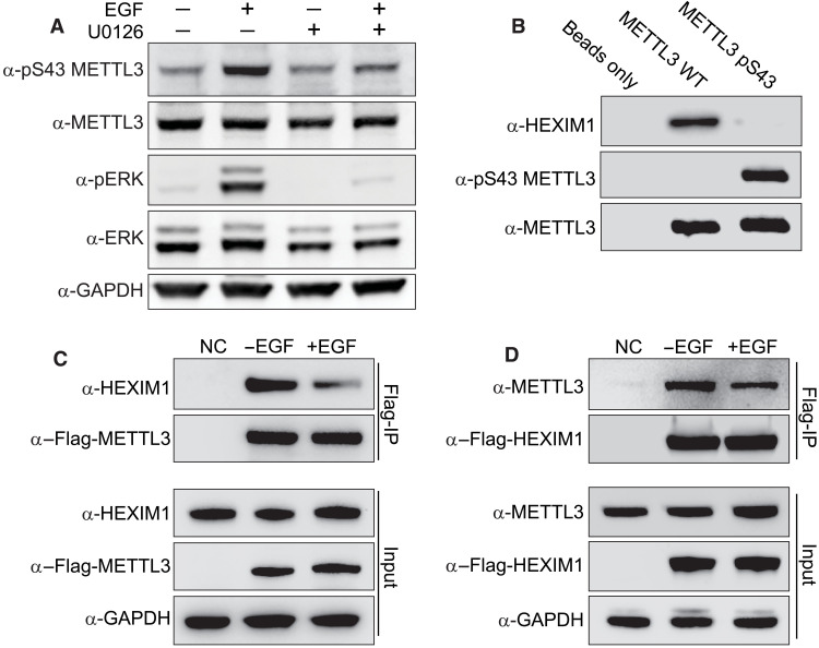 Fig. 4.