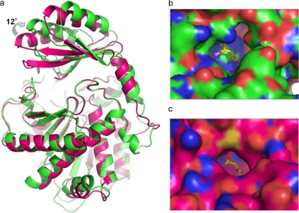 FIGURE 5.