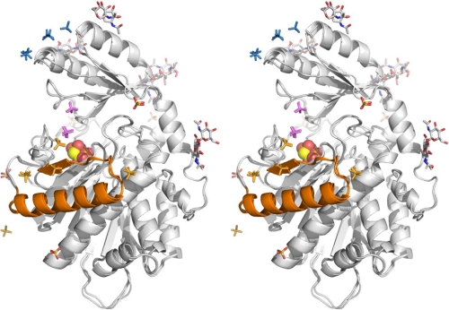 FIGURE 4.