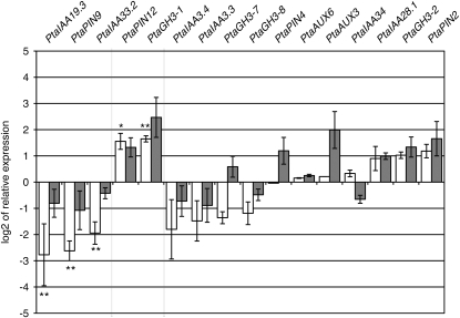 Figure 5.