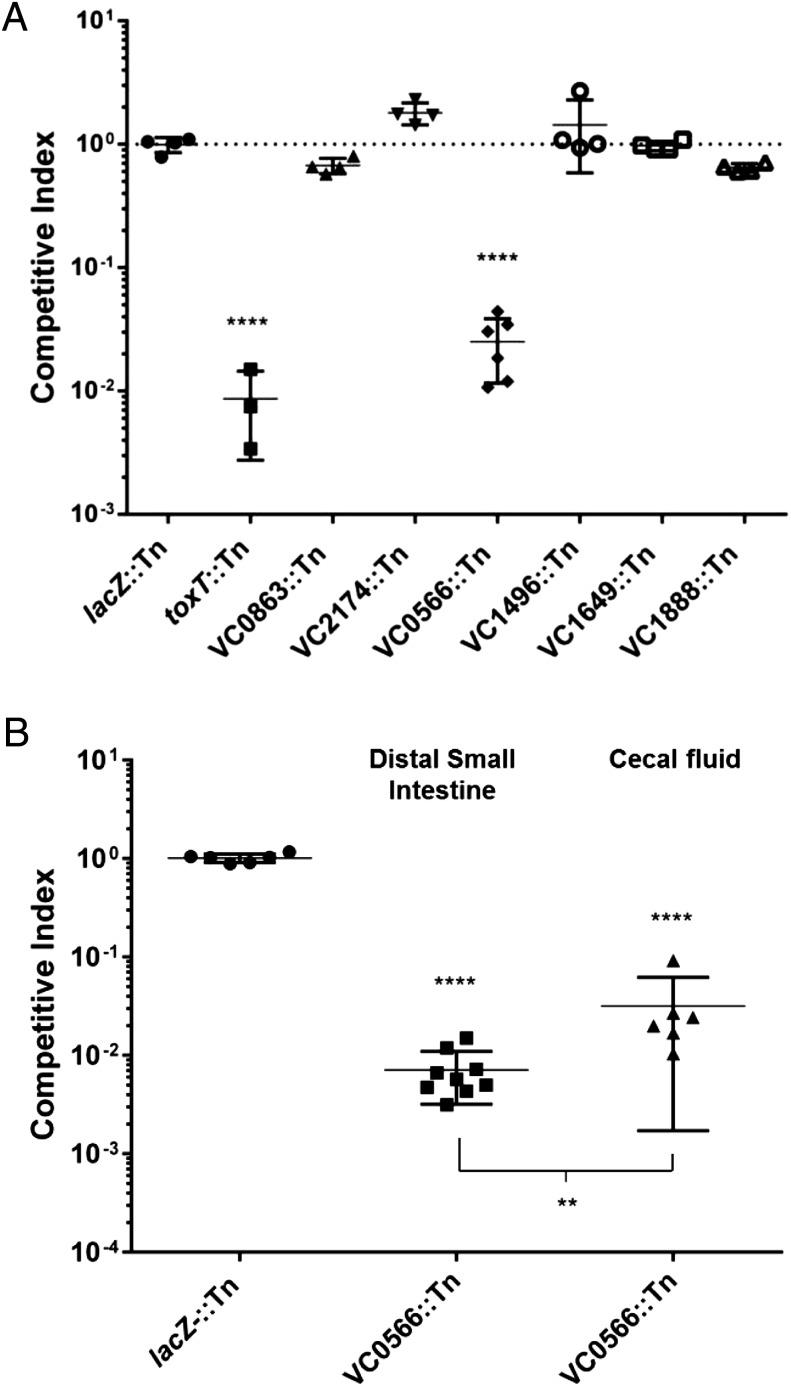 Fig. 4.