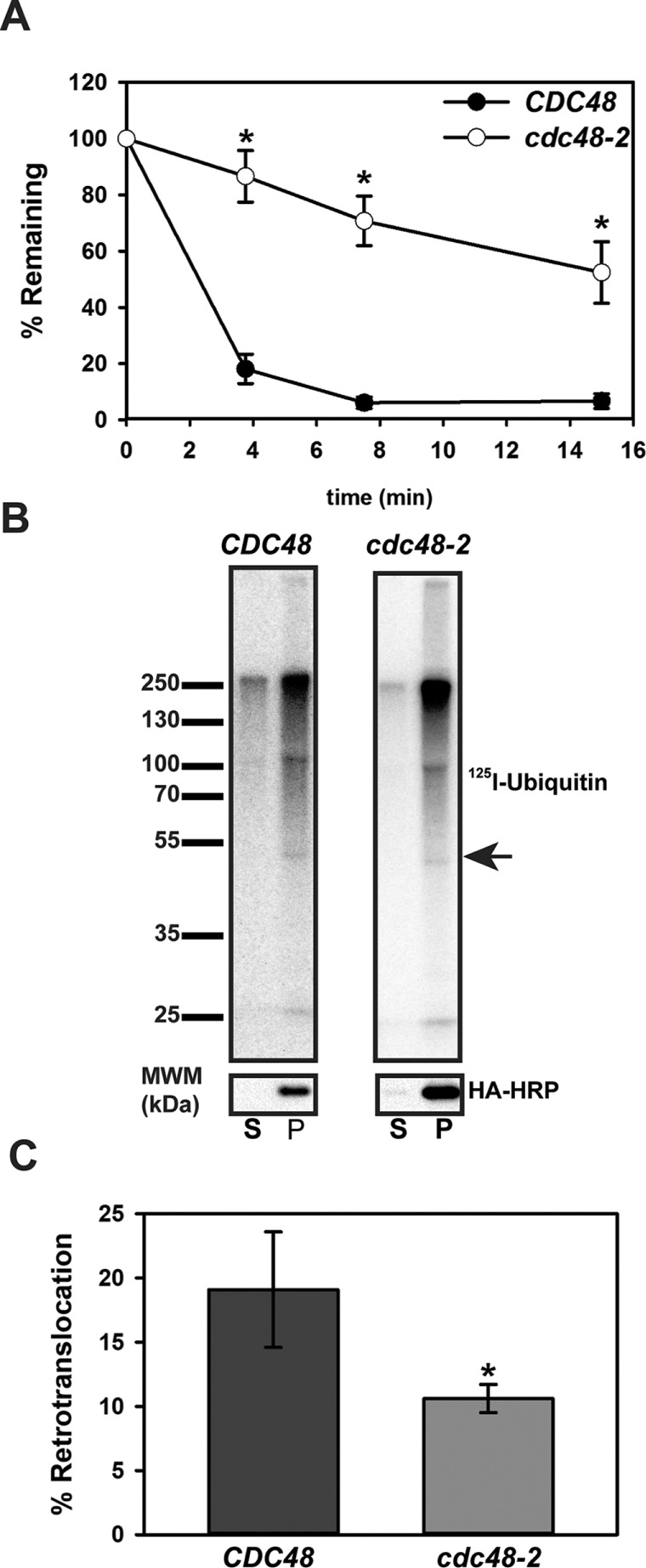 FIGURE 6: