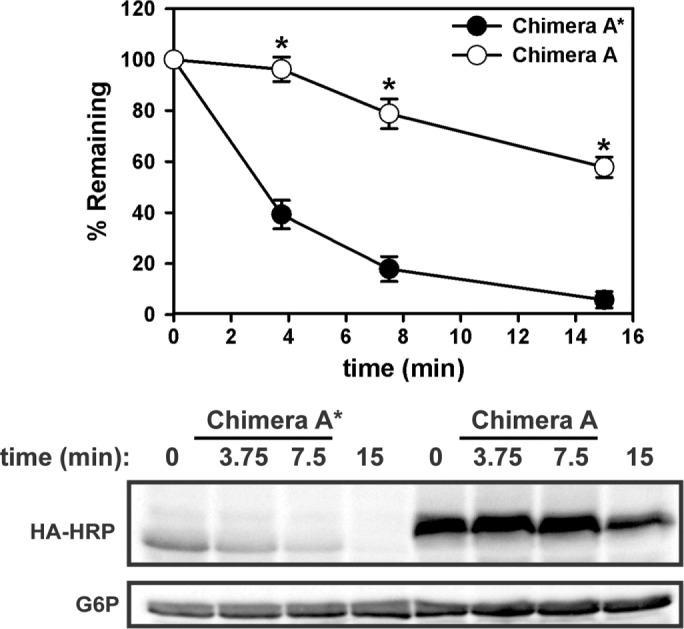 FIGURE 2: