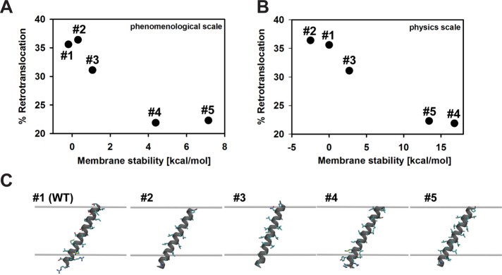 FIGURE 9: