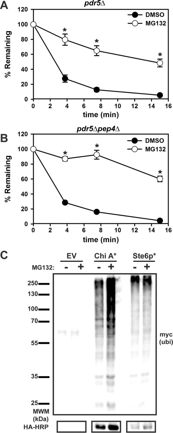 FIGURE 4: