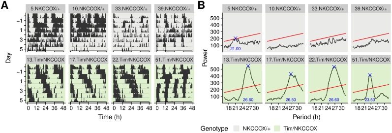 Fig 4