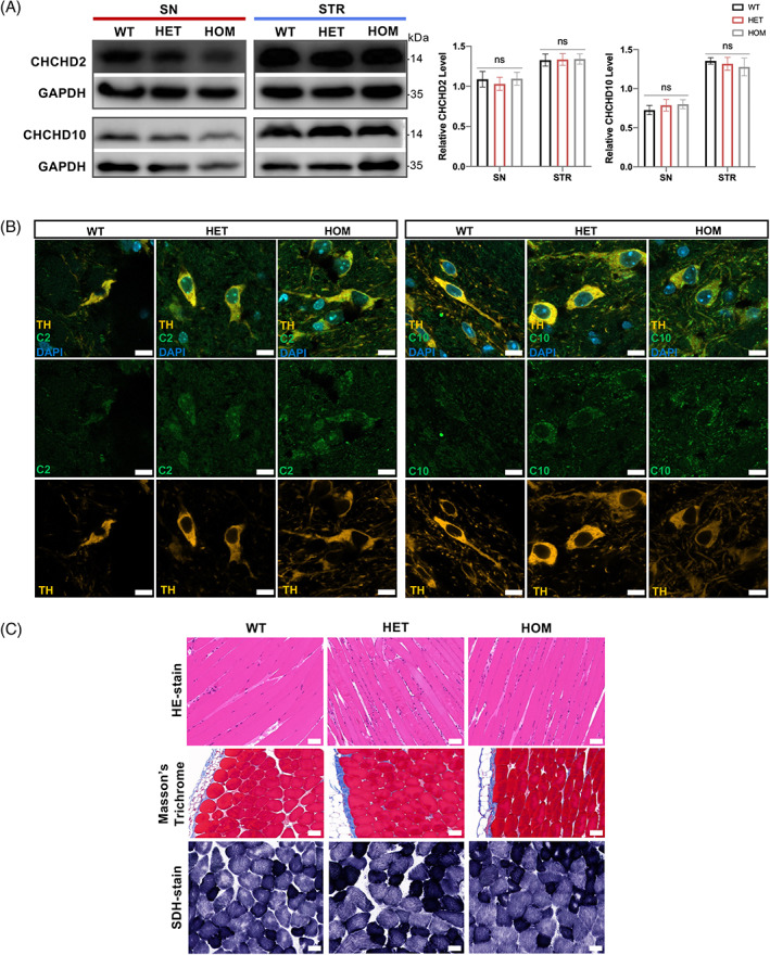 FIGURE 3