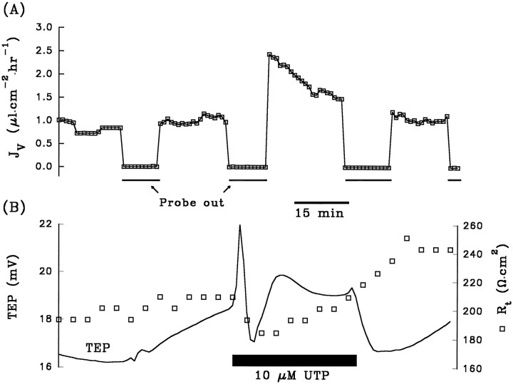 Fig. 10.