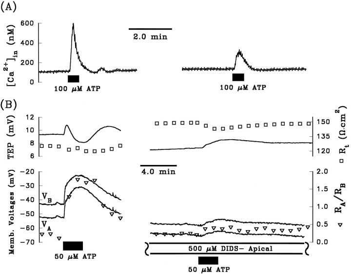 Fig. 9.