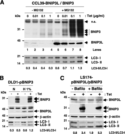 FIG. 3.