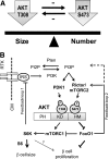 FIG. 6.
