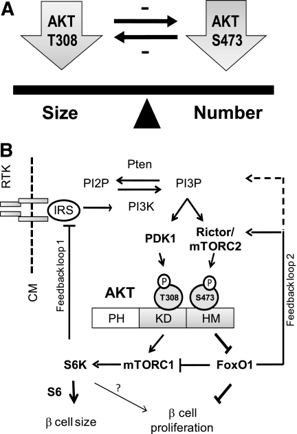 FIG. 6.