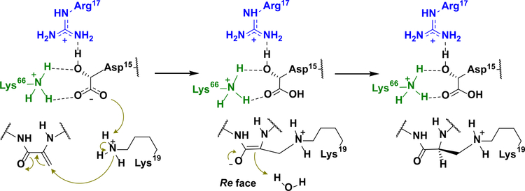 Figure 3: