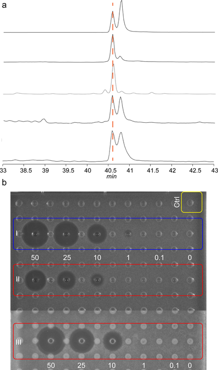 Figure 5: