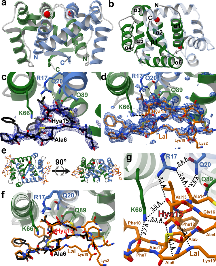 Figure 2: