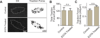 Figure 2—figure supplement 3.