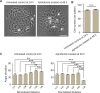 Figure 2—figure supplement 4.