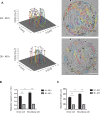 Figure 1—figure supplement 1.
