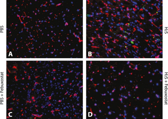 Figure 11.